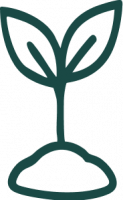 plant_img